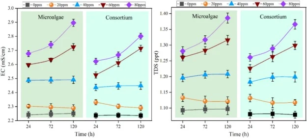 Temporal changes in EC and TDS of S. obliquus in microalage and consortium group at 24, 72, 120 h in response to Cu exposure 0, 20, 40, 60, 80 ppm, respectively (mean ± SD, n = 5).