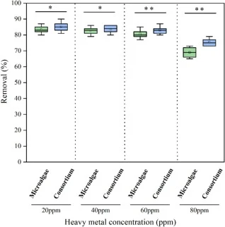 斜生栅藻(S. obliquus)在20–80 ppm Cu下的铜(Cu)去除率效率。星号表示统计学显著差异(平均值±标准差,n = 5;*p < 0.05,**p < 0.01)。