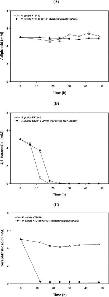 TPA分解代谢基因(tpaK、tphA和tphB)对恶臭假单胞菌KT2440中聚(己二酸丁二醇酯-共-对苯二甲酸酯)(PBAT)单体消耗的影响。在补充有各5 mM底物的5× M9基础培养基中,(A)己二酸消耗、(B)1,4-丁二醇消耗和(C)TPA消耗的比较。
