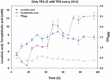 经改造的恶臭假单胞菌KT2440 GP102在仅TPA投喂条件下的LA生产,在24、48和72小时时分别供给5 mM TPA。