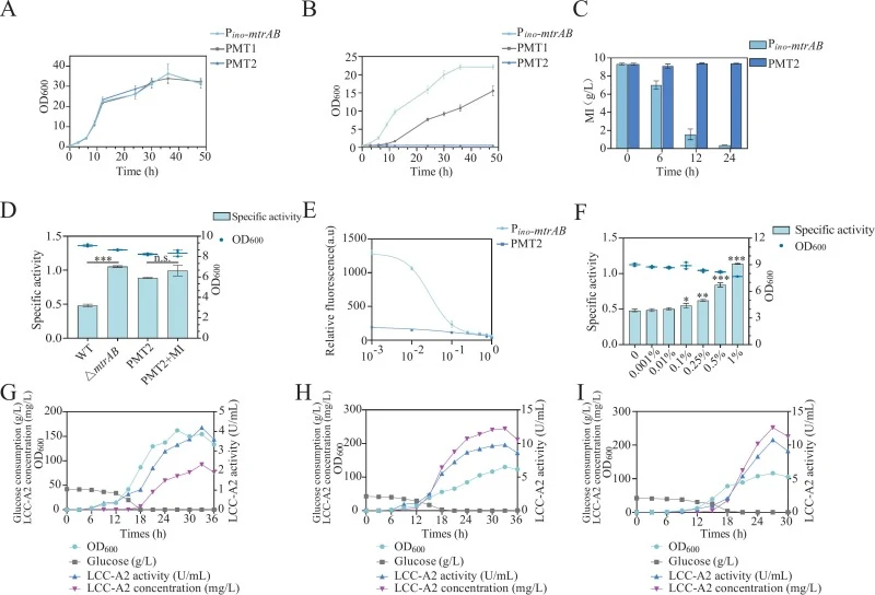 Reconstruction and characterization of inositol-silencing system in C. glutamicum. (A–B) The growth curve of P ino -mtrAB and mutant strains in the CGXII medium supplemented with 2 % glucose (A) or 2 % myo-inositol (B). PMT1 strain: P ino -mtrAB strain with deletion of inositol dehydrogenase genes a