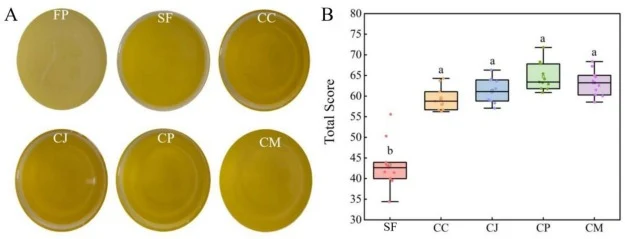 Wine juice colour and total sensory scores of pineapple wines from different fermentation groups (FP stands for pineapple juice, other abbreviations as defined in Fig. 4). (A) visual appearance and (B) box plot of total sensory scores. Lowercase letters indicate significant differences, p < 0.05 (Du