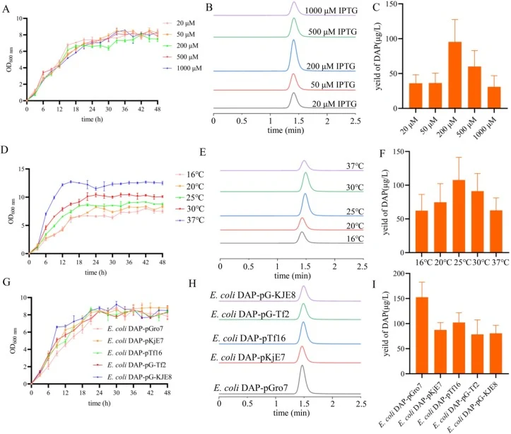 Optimization of fermentation conditions for DAP. (A) The growth curves of E. coli BAP1-COBAC-RBS were quantitatively assessed under inducible conditions using a gradient of IPTG concentrations (20 μM–1000 μM). Bacterial proliferation was monitored through turbidimetric measurements at 600 nm in TB m
