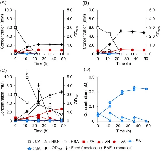 VA production by NGC716 from mock conc_BAE_aromatics supplemented with or without mock OA. NGC716 was cultured in 10 mL of MMx-3[mock conc_BAE_aromatics] (A) or MMx-3[mock conc_BAE_aromatics + mock OA] (B) in a batch mode. In addition, it was cultured in MMx-3[mock conc_BAE_aromatics + mock OA] in a