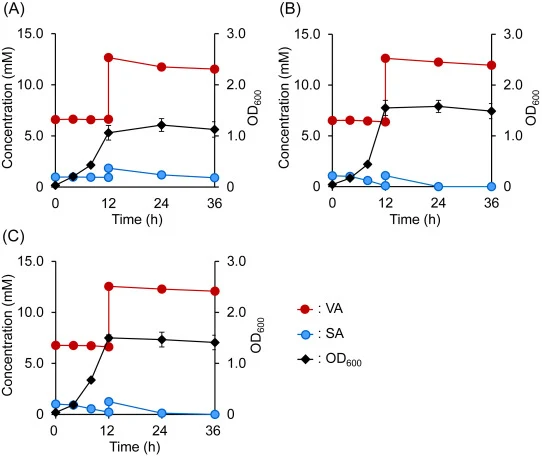Comparison of SA-degrading abilities among NGC716 (A), NGC716-9C (B), and NGC716-12F (C) under high VA concentration. Each strain was cultured in 10 mL of MMx-3 medium containing 1.0 mM SA and 7.0 mM VA supplemented with mock OA, and an additional mixture (80 μL) of SA and VA (1:7) was added to the
