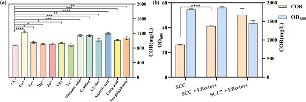 代谢效应分子对COR生产的显著性分析与组合优化。(a) 不同代谢效应分子对COR生产的显著性分析。(b) 补充代谢效应分子后SCC和SCC7中COR生产与生物量的比较。