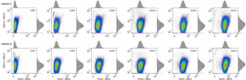 : Intracellular lipid accumulation over the course of cultivations as captured by flow cytometry of Nile Red-stained Y. lipolytica S11070 cells. Fluorescence was measured at an excitation wavelength of λex = 488 nm and emission wavelength of λem = 580 nm, displayed by the heat maps. An increase in t