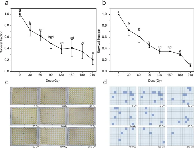 Determination of survival curves. a, Survival curve determined by the plate counting method; b, Survival curve determined by the 96-well microplate method; c and d, Observation results of the 96-well microplate method. Each cell dilution (containing approximately 60 cells) was equally divided into 9
