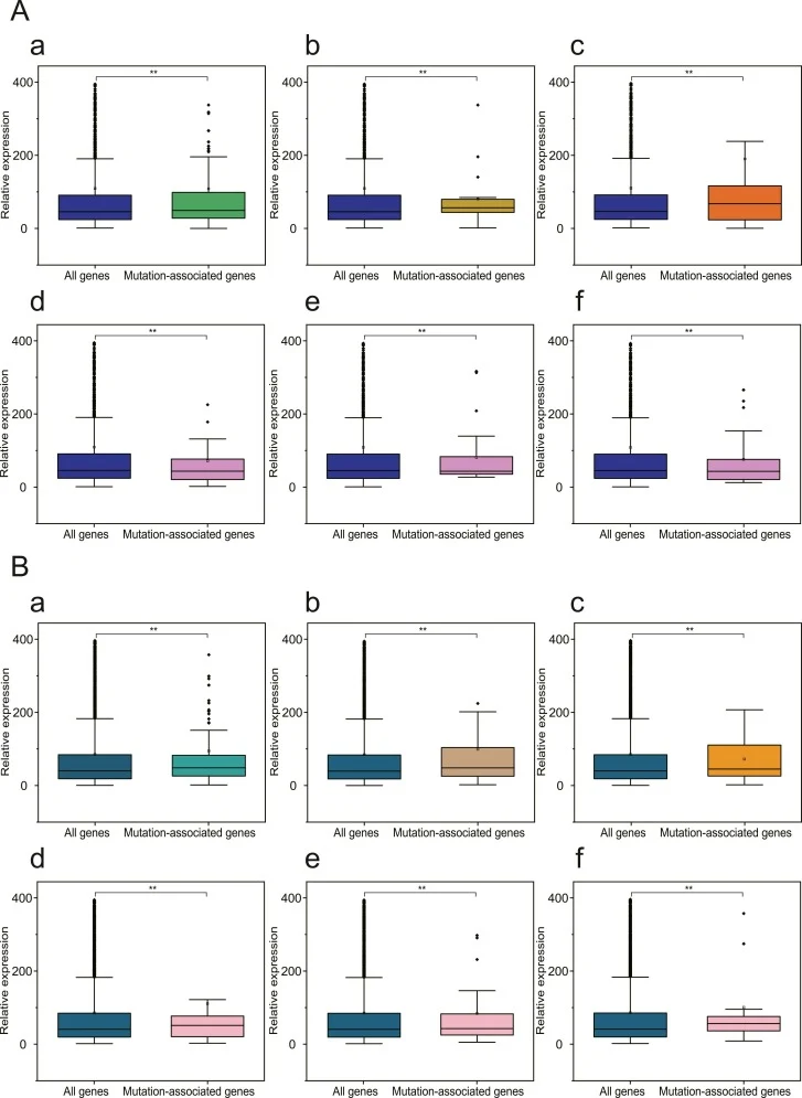 Assessment of transcriptional activity of genes associated with mutation sites. A, Using the transcriptome of the original S. cerevisiae strain under physiological saline conditions (matching the cellular environment during irradiation when random mutants were induced) as the background, the express