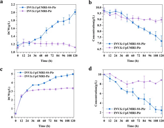Growth and xylose utilization profiles of recombinant Engineered S. cerevisiae strains INVSc1/PUMRI-SS-PirXI and S. cerevisiae strains INVSc1/PUMRI-PirXI strains. (a) Cell growth over time in xylose-only medium. (b) Xylose consumption over time in xylose-only medium. (c) Cell growth over time in mix