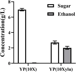工程菌株S. cerevisiae INVSc1/PUMRI-SS-PirXI利用木糖与木酮糖生产乙醇的对比。
