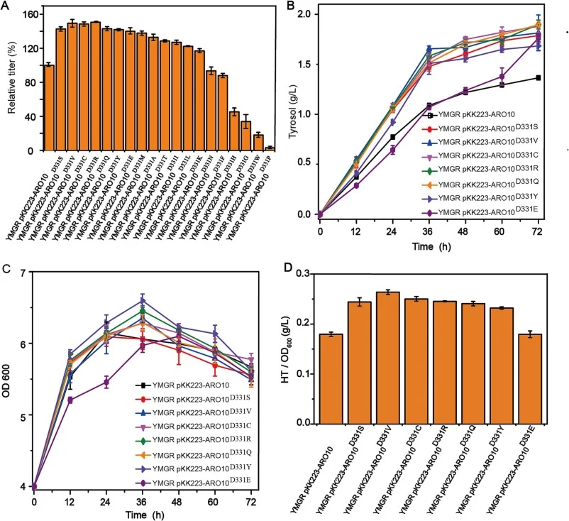 Fermentation results of ARO10 D331 site saturated mutant strains. (A) Percentage of tyrosol production in 331 site site-directed saturated mutant strains relative to the wild-type; (B) Tyrosol production of 331 site mutant strains in shake flask fermentation; (C) Tyrosol production per unit cell den