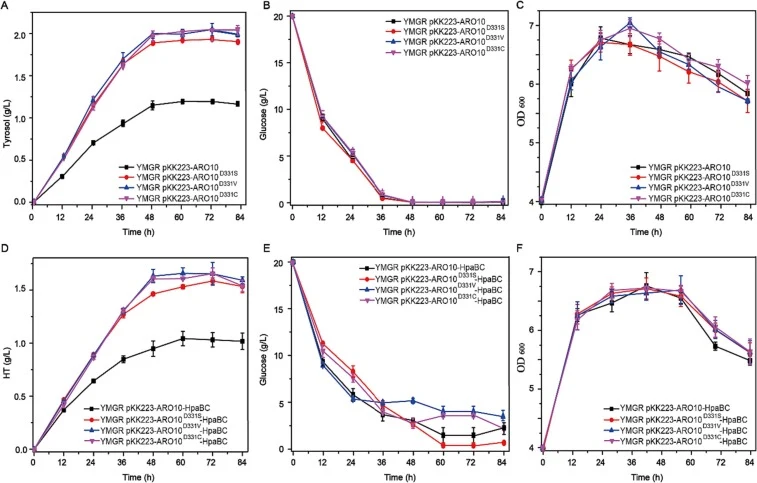 Fermentation results of ARO10 D331 site mutant strain. (A) Tyrosol production of ARO10 D331 site mutant strain; (B) Residual sugar curve of ARO10 D331 site mutant strain; (C) Cell growth curve of ARO10 D331 site mutant strain; (D) Hydroxytyrosol production of ARO10 D331 site mutant strain; (E) Resid