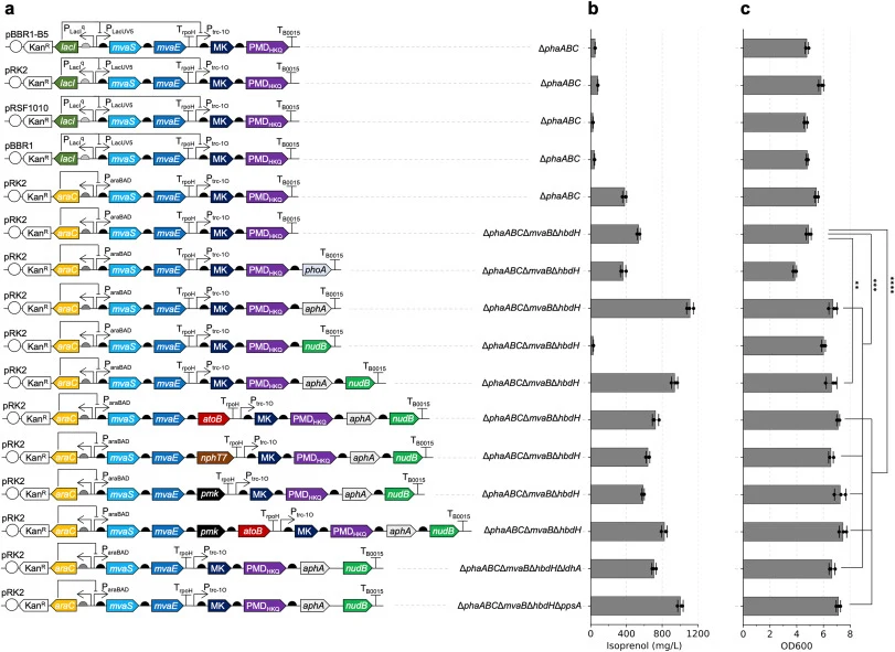Pathway optimization in EZ rich medium. a Schematic diagram of plasmids (Supplementary Table 2) used in this study. b Isoprenol titer obtained at 48 h from strains transformed with plasmids shown in a. c Cell density (OD600) from strains shown in b measured at 48 h. Data were obtained from three bio