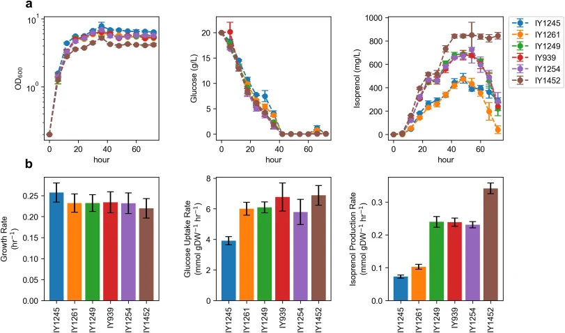 Time-course profiles of the engineered P. putida KT2440 strains in M9 glucose minimal medium. a Growth, glucose consumption, and isoprenol production. Data were obtained from three biological replicates and error bars represent standard deviation. b Specific rates estimated using the first three tim
