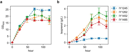 Growth and isoprenol production in fed-batch mode. a optical density (OD600) and b production of isoprenol by IY1245 (wild type), IY1262 (ΔphaABC ΔmvaB ΔhbdH ΔldhA), IY1452 (ΔphaABC ΔmvaB ΔhbdH ΔldhA ΔPP_2675), and IY1485 (ΔphaABC ΔmvaB ΔhbdH ΔldhA ΔPP_2675 ΔgacA). The fed-batch productions were per