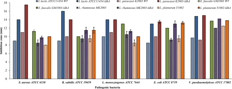 Comparison of antimicrobial activity between the WT and ldh-deficient strains against Gram-positive (Staphylococcus aureus ATCC 6538, Bacillus subtilis ATCC 19659 and Listeria monocytogenes ATCC 7644) and Gram negative (Escherichia coli ATCC 8739, and Vibrio parahaemolyticus ATCC 17802) foodborne pa