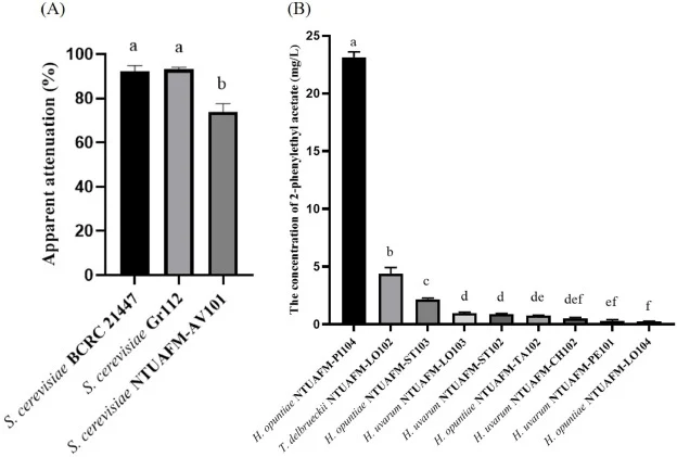 Comparative screening of yeast strains for fermentation performance and ester aroma production. (A) Apparent attenuation of three Saccharomyces cerevisiae strains. (B) 2-phenylethyl acetate production by selected non-Saccharomyces yeast isolates. Values represent the mean ± standard deviation of thr