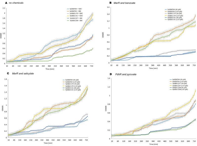 The growth curves of the yeast biosensors. A) Growth curves of all biosensors realized in this study in synthetic media in the absence of any chemicals. B) Growth curves of MarR-based biosensors (byMM1159 and byMM1161) and the negative control strain (byMM584) in response to benzoate at concentratio