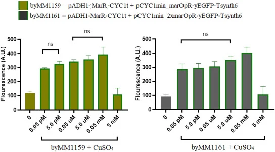 Fluorescence response of MarR-based biosensors (byMM1159 and byMM1161) to copper from 0.05 pM to 5 mM concentration. byMM1159 = marOp; byMM1161 = 2xMarOp. Each bar is the mean fluorescence value (A.U.) of three replicates ± standard deviation (SD). ns = no significant difference (one-way ANOVA—three