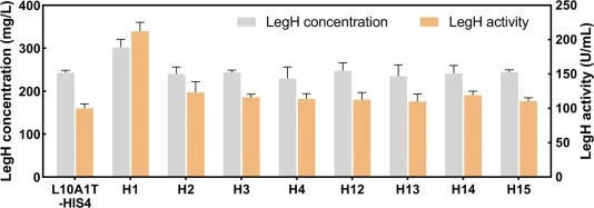 Individual overexpression of the heme pathway genes (HEM) in LegH multi-copy integrated strain (L10A1T). LegH concentration and peroxidase activity were measured and compared.