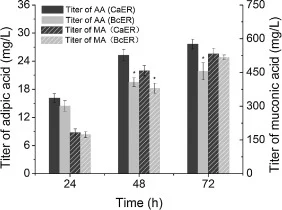 Biosynthesis of adipic acid by co-culture system expressing VHb. Dark gray bars indicate co-culture system expressing CaER. Light gray bars indicate co-culture system expressing BcER. AA indicates adipic acid; MA indicates cis,cis-muconic acid. The titers of adipic acid or cis,cis-muconic acid of sy
