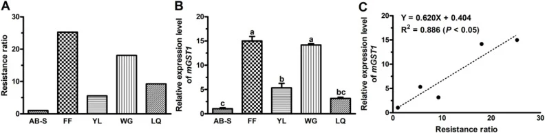 Abamectin resistance levels (A) and Gm-mGST1 gene expression levels (B) in field populations of G. molesta, and their correlation analysis (C). The resistance levels are explained in Table S3. Different lowercase letters indicate significant differences between strains according to ANOVA (Tukey's te