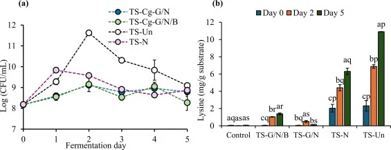 Effect of nutrient supplementation on growth profile and lysine content in thin stillage fermented by Corynebacterium glutamicum. (a) Microbial growth rate and (b) lysine accumulation (mg/g, dry basis) measured on Day 0, Day 2, and Day 5. Treatments include: TS-Un (unsupplemented TS), TS-N (TS suppl