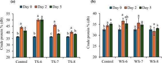 Protein content in Corynebacterium glutamicum-fermented solids from thin stillage (TS) and whole stillage (WS). (a) Protein content (% dry basis) of TS solids fermented at initial pH 6 (TS−6), pH 7 (TS−7), and pH 8 (TS−8), compared with the untreated control. (b) Protein content of WS solids ferment