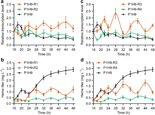 Dynamic regulation of HEM2 transcription and heme biosynthesis in the P1H9 strain. (a)∼(d) indicate the comparison of HEM2 transcription and heme biosynthesis among P1H9-R1, P1H9-R2, and P1H9 (or P1H9-R3, P1H9-R4, and P1H9) strains. P1H9-R1, P1H9–P 2-1_0235 -Ubi4N76–K3K15-dCas9-P HTX1 -gRNA1 HEM2 ;