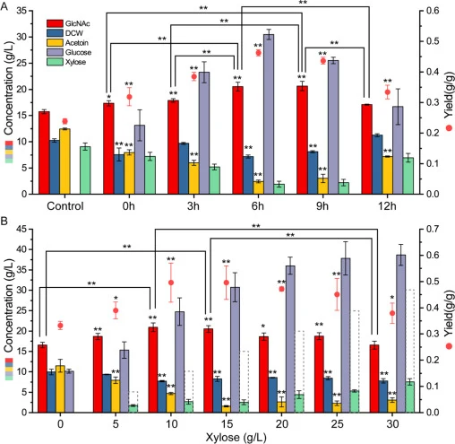 Dynamic coordination of glucose and xylose metabolism for GlcNAc production. (A) Effects of addition time of xylose on GlcNAc production. (B) Effects of addition amount of xylose on GlcNAc production. The dotted lines represent the addition amount of xylose. All data were the average of three indepe