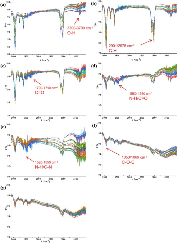 Initial ATR-FTIR spectra of different fermentation time: (a) 0 h, (b) 12 h, (c) 24 h, (d) 36 h, (f) 48 h, (e) 60 h, (g) 72 h.