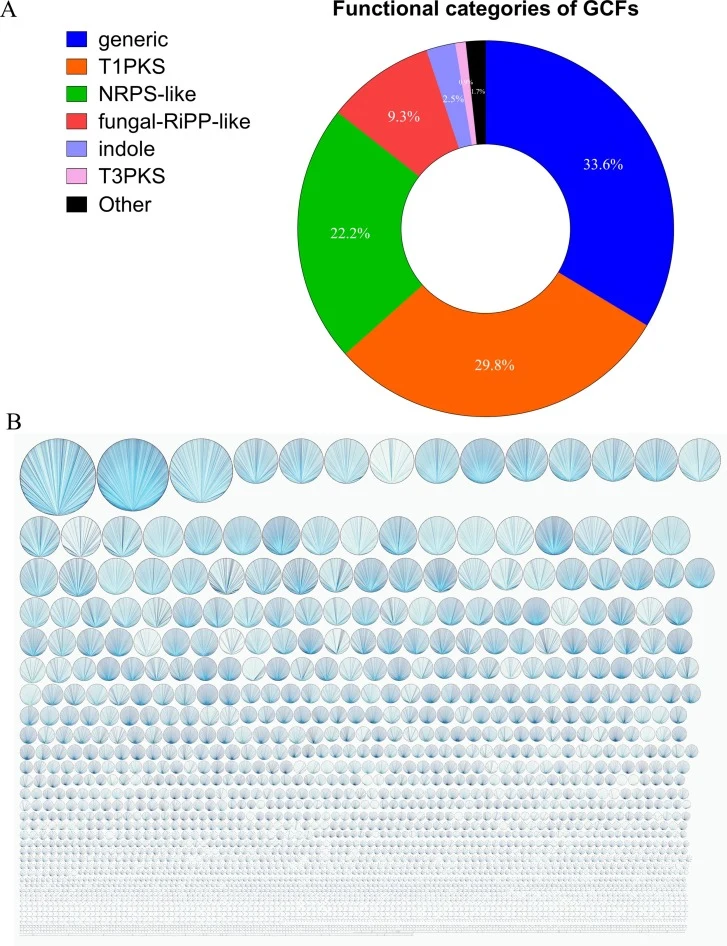 Functional breakdown of Aspergillus GCFs and construction of GCF-BGC network. (A) A pie chart showing the proportion of GCFs in each major biosynthetic category. T1PKS, NRPS-like, generic, and other GCFs were annotated in the pie chart with different colors. (B) The 64,096 BGCs from 1,373 Aspergillu