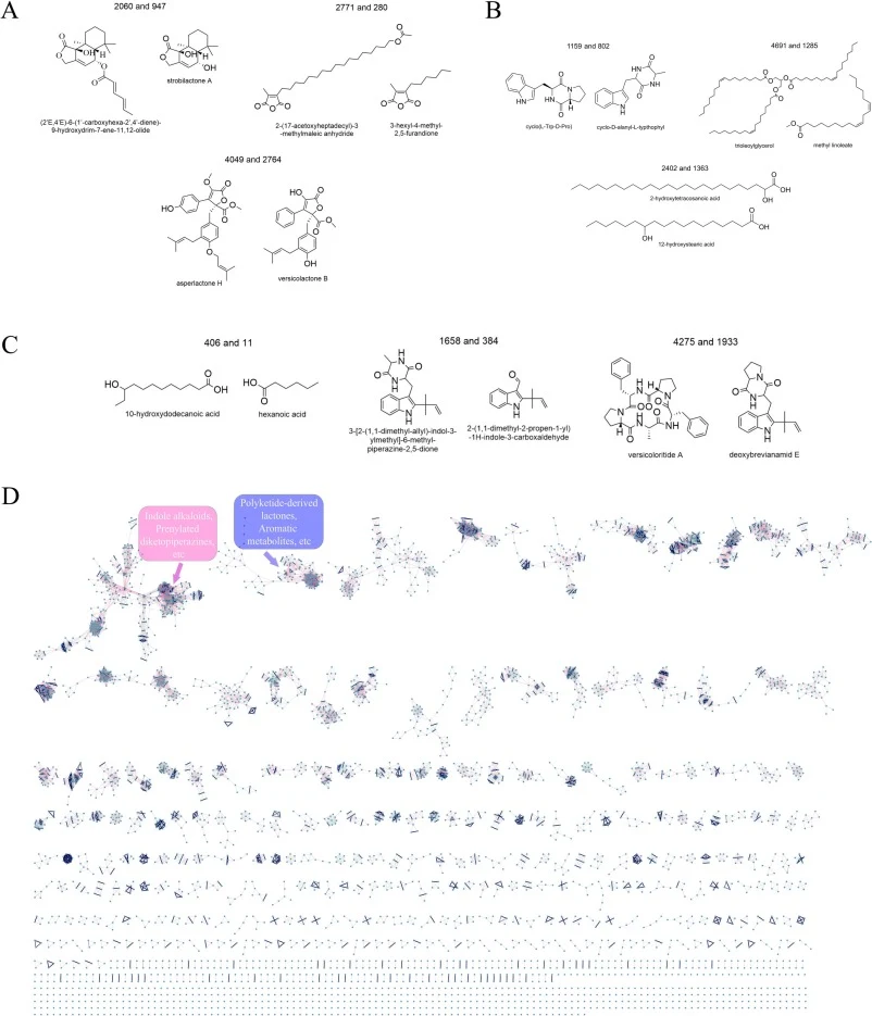 Verification of SM-SM pairs under different Tanimoto thresholds and construction of MN-SM network. (A) The random verification of SM-SM pairs with a Tanimoto threshold of 0.60. (B) The random verification of SM-SM pairs with a Tanimoto threshold of 0.55. (C) The random verification of SM-SM pairs wi