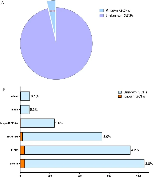 Statistical summary of GCFs associated with known SM biosynthetic pathways. (A) The proportion of known GCFs of all GCFs in a pie chart. (B) A bar chart of the function of GCFs and the ratio of known GCF to each type of GCF.
