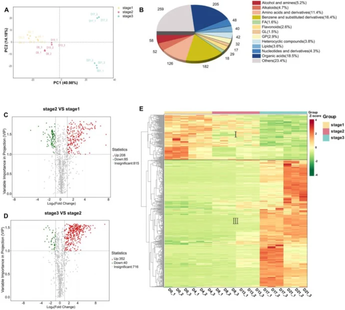 PCA score plot of metabolites (A), metabolite classification statistics (B), volcano plot of differential metabolites at different stages (C, D). A clustering heatmap was generated for the differential metabolites (VIP >1 and fold change ≥2 or ≤ 0.5). Metabolite intensities were converted to group Z