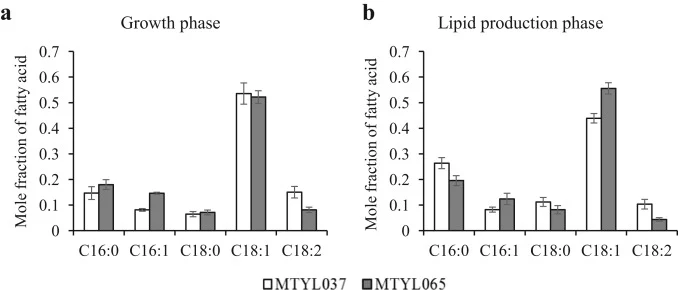 Distribution profiles of fatty acids produced by Y. lipoltytica. The mole fractions of the five principal fatty acids in strains MTYL037 and MTYL065 measured when cells were harvested for 13C-MFA during each phase: (a) growth phase and (b) lipid production phase.