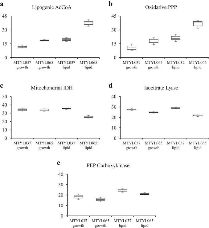 Flux confidence intervals of selected metabolic reactions. The best-fit flux values and corresponding confidence intervals are shown for reactions that best illustrate differences and similarities across strains (MTYL037 and MTYL065) and fermentation phases (growth and lipid production): (a) AcCoA t
