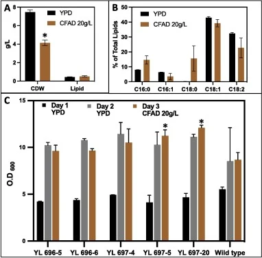 Growth and Adaptive laboratory evolution of Yarrowia lipolytica CBS 2072 strain. (* indicates p-value < 0.05) A: Biomass (CDW) and lipid titre of wild type strain in YPD and CFAD 20 g/L media. B: Fatty acid composition of total lipids of wild type strain in YPD and CFAD 20 g/L media. C: OD600nm for