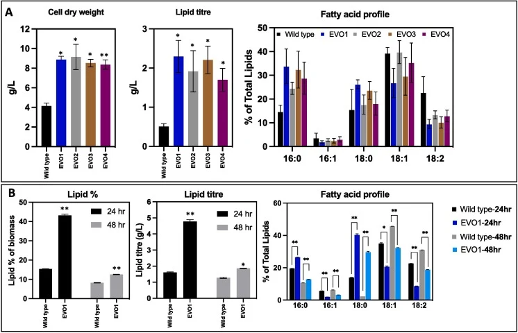 A: Performance of Yarrowia lipolytica strains CBS 2072 (wild type) and evolved strains EVO1, EVO2, EVO3 and EVO4 during 50 mL shake flask fermentation (3 replicates). (* indicates p-value < 0.05 and ** indicates p-value < 0.001) Values include cell dry weight in g/L, total lipid titre in g/L and Fat