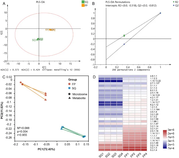 Analysis of differential VMs and microbiologically related functions during flowering. (A) PLS-DA plot of VMs from tea samples. (B) Permutation test for the PLS-DA model. (C) Procrustes analysis of metabolites and microbiome. (D) PICRUSt2 analysis of microbial functional proteins during flowering.