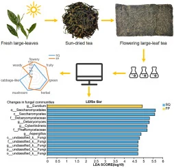 Impact of Aspergillus cristatus dominated fermentation on fu