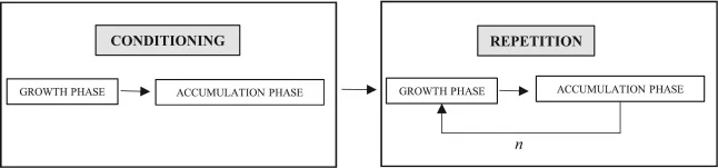 Schematic representation of the methodology applied in this study. n is the number of repetitions performed. For microbiome R3, n is 4 and for microbiome UP, n is 3. Note that here we employed “accumulation” to denote the period when cells synthetize PHB. The word “starvation” is utilized as synonym