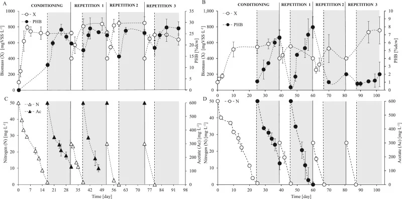 (A-B) Average biomass (as VSS) and PHB evolution in PBR 1 & 2 during the conditioning cycle and repetitions 1–3 of microbiome (A) R3 and (B) UP. Values of biomass were estimated from turbidity measurements. PHB was not measured during the growth phase of each cycle. (CD) Average nitrogen and acetate
