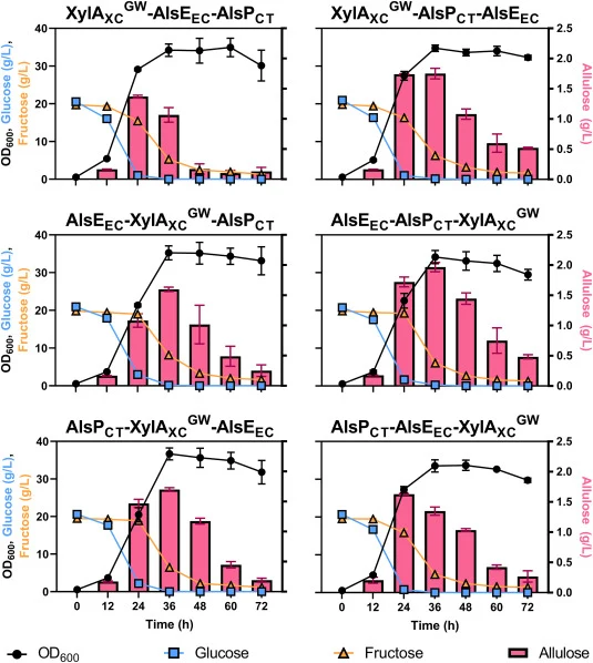 D -Glucose isomerase-mediated production of D -allulose. The Fruneg-IolT1T351P strain, transformed with pPREx2 derivatives encoding the three enzymes listed above each panel in the corresponding order, was used for cultivation. The culvation was performed in CGXII medium with 20 g/L of D-glucose, 20