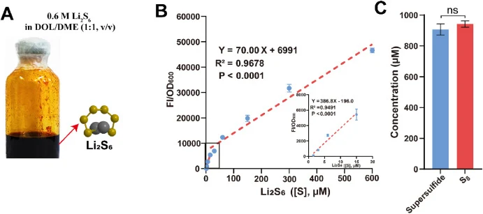 Application of AtBigR-WCB for lithium polysulfide detection in Li-S batteries. A) Li2S6 is the main component in Li-S battery electrolyte. B) Dose-response curves of AtBigR-WCB to Li2S6 in the battery electrolyte. Cells at logarithmic phase were exposed to varying concentrations of Li2S6 in the batt