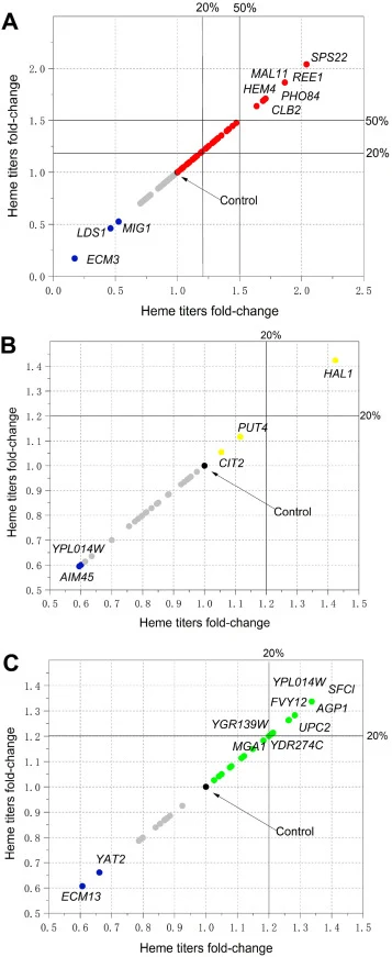 Screening and evaluating the potential genes that can promote heme biosynthesis. (A) Effects of the up-regulated 80 genes in strain R5-03 on heme production in strain H11 by overexpressing them individually. (B) Effects of the top down-regulated 26 genes in strain R5-03 on heme production in strain