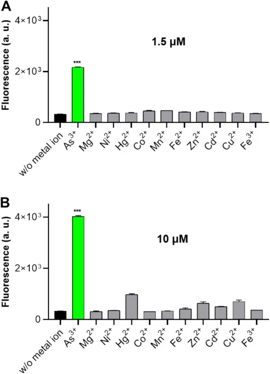 Analytical specificity and cross-reactivity profile of the cell-free arsenic biosensor. The response of biosensor was evaluated against a panel of ten divalent metal ions across a wide concentration range to determine its discriminatory power. (A) 1.5 μM and (B) 10 μM: Performance within the optimal