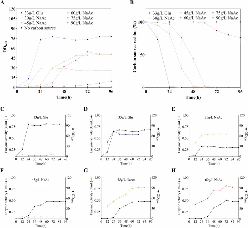 Secretory expression of ICCG-A2 in C. glutamicum. Growth profiles (a) and substrate consumption (b) of Cg-ICCGA2 in CGXII medium supplemented with different carbon sources. Growth profiles (black curves) and extracellular enzyme activities (colored curves) of Cg/pEC‑XK99E (c) and Cg-ICCGA2 (d) in CG