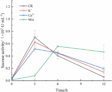 酵母在不同处理条件下的蔗糖水解酶活性变化:K+(15.64 g/L K+)、Ca2+(8.17 g/L Ca2+)及混合处理(15.64 g/L K+ + 8.17 g/L Ca2+ + 2.76 g/L Mg2+ + 0.35 g/L Fe3+ + 0.23 g/L Na+ + 0.034 g/L Mn2+)。